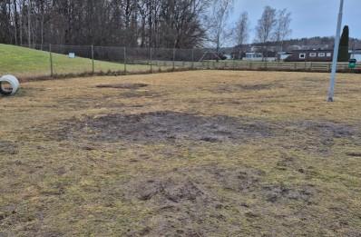 Råby hundrastgård hundrastgård