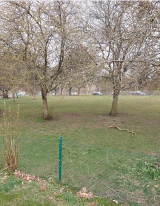 Fastebols Hundrastgård hundrastgård