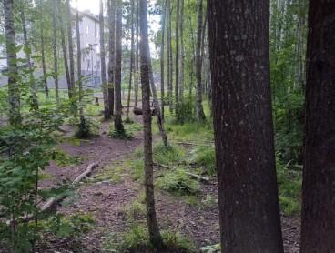 Hundrastgård hundrastgård