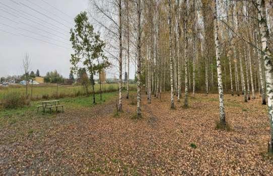 Rallstaskogen Hundrastgård hundrastgård