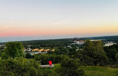 Vårbergstoppen hundrastgård